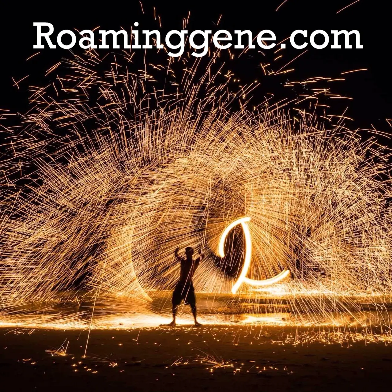 https://roaminggene.com/